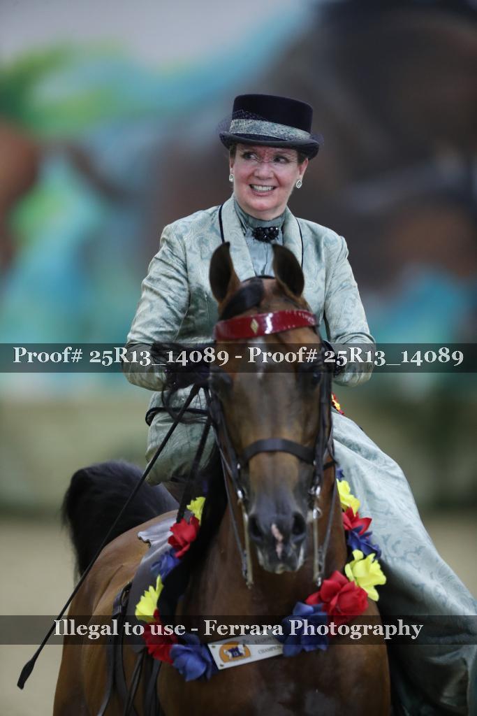 Proof 25R13_14089