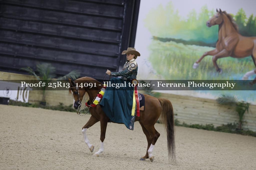 Proof 25R13_14091