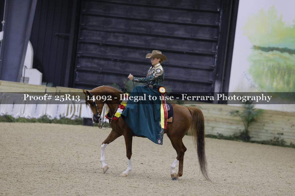 Proof 25R13_14092