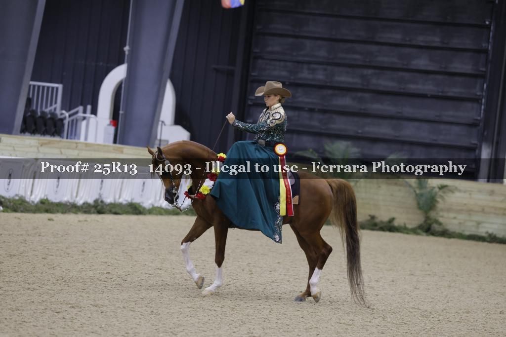 Proof 25R13_14093