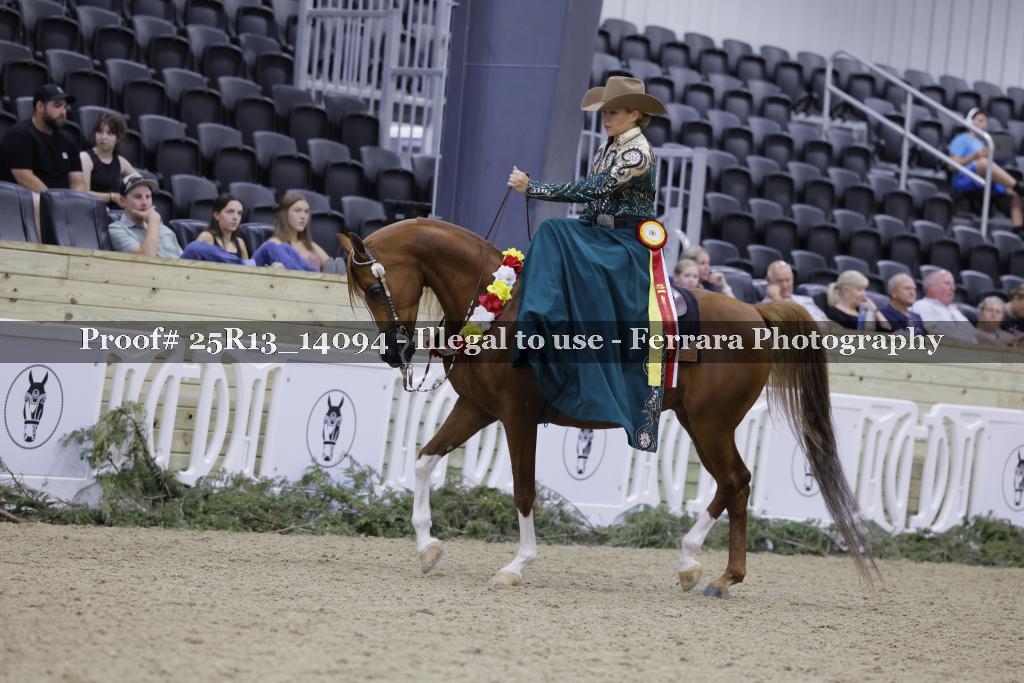 Proof 25R13_14094