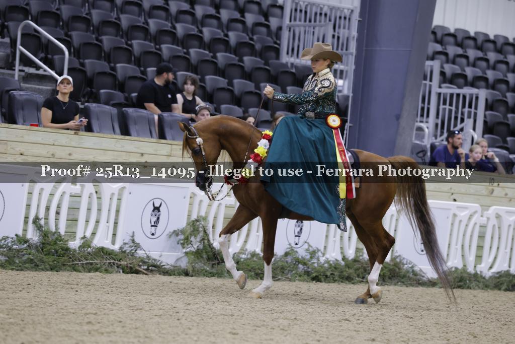 Proof 25R13_14095