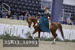 25R13_14095 proof