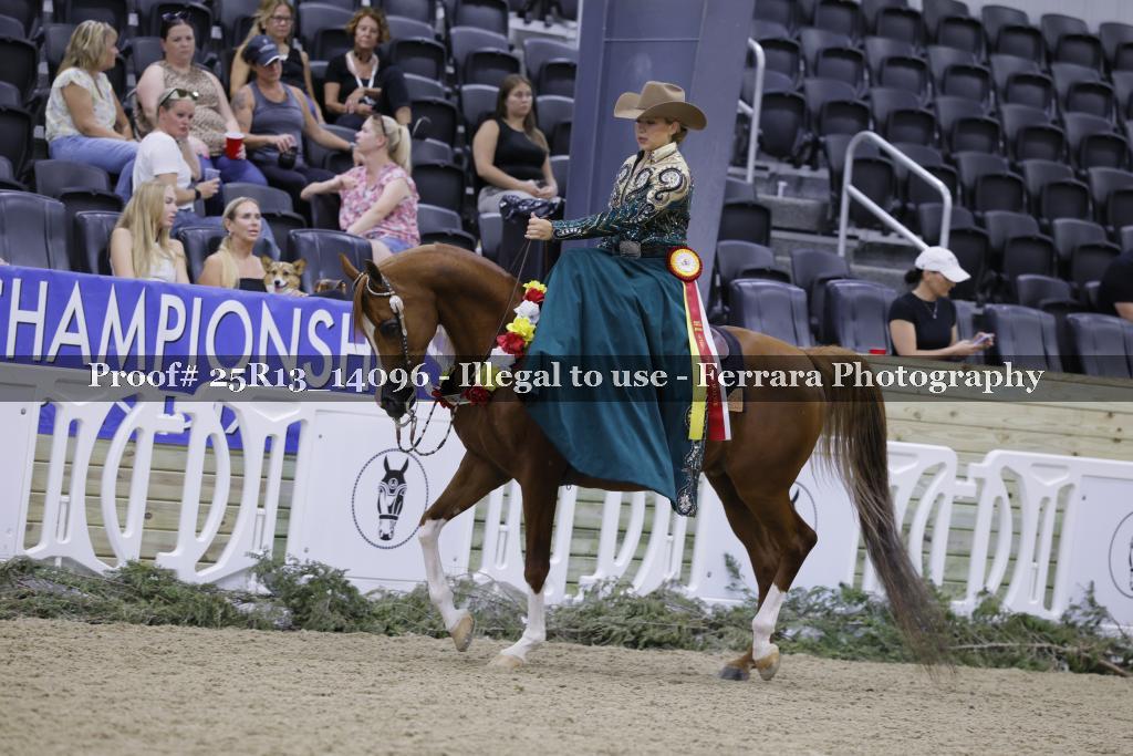Proof 25R13_14096