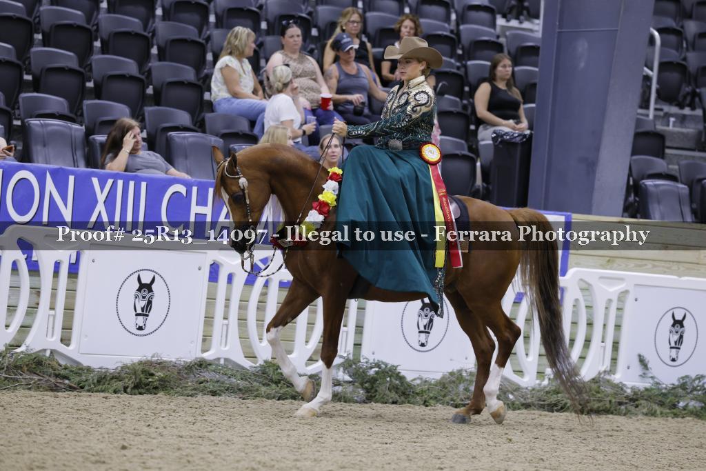 Proof 25R13_14097