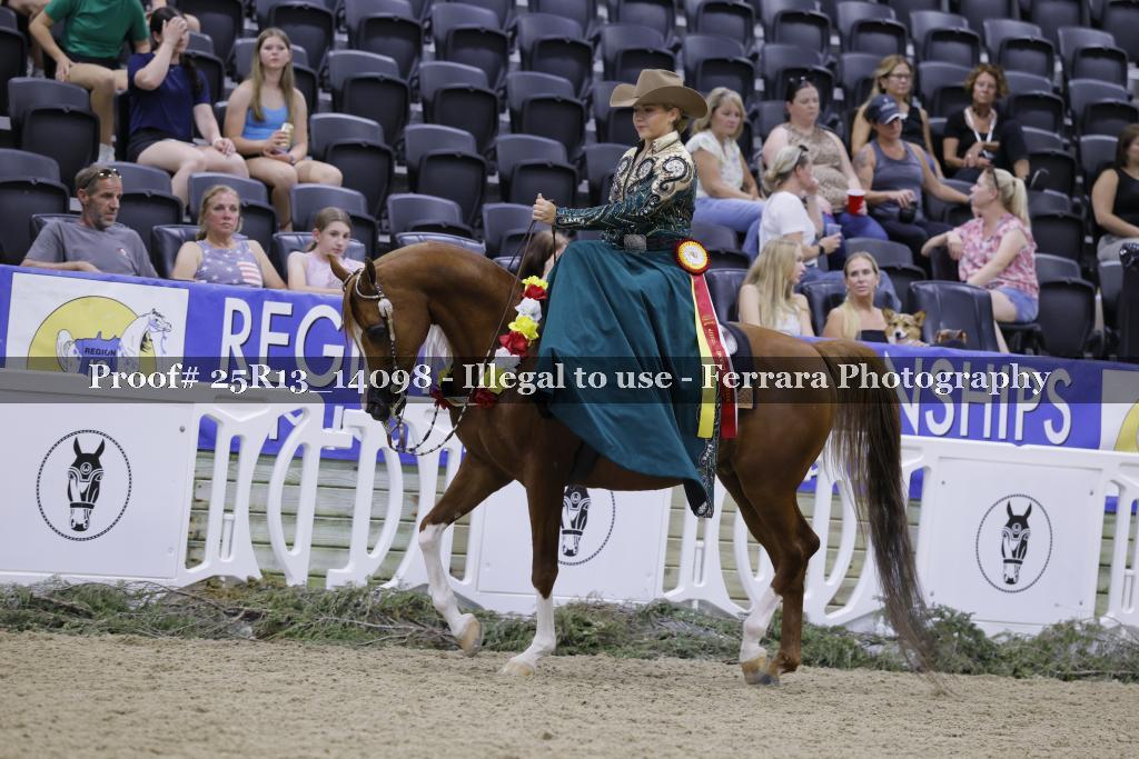 Proof 25R13_14098