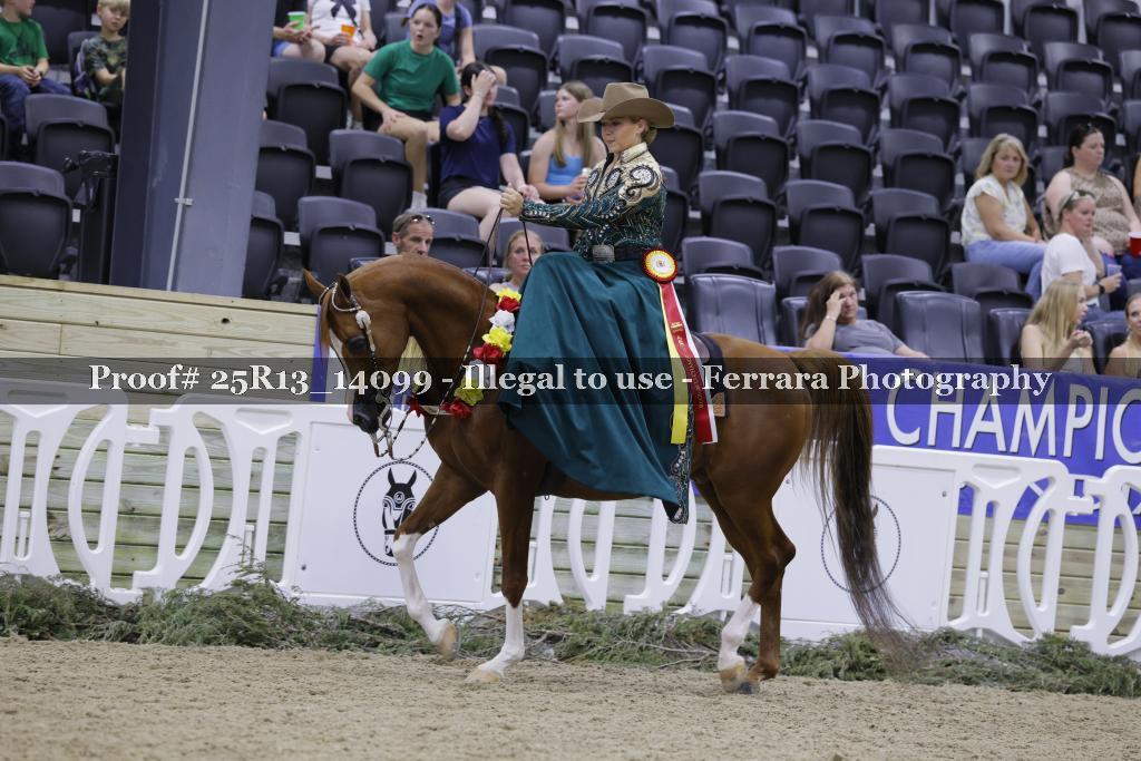 Proof 25R13_14099