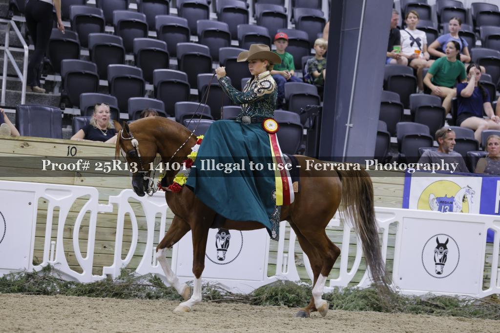 Proof 25R13_14101
