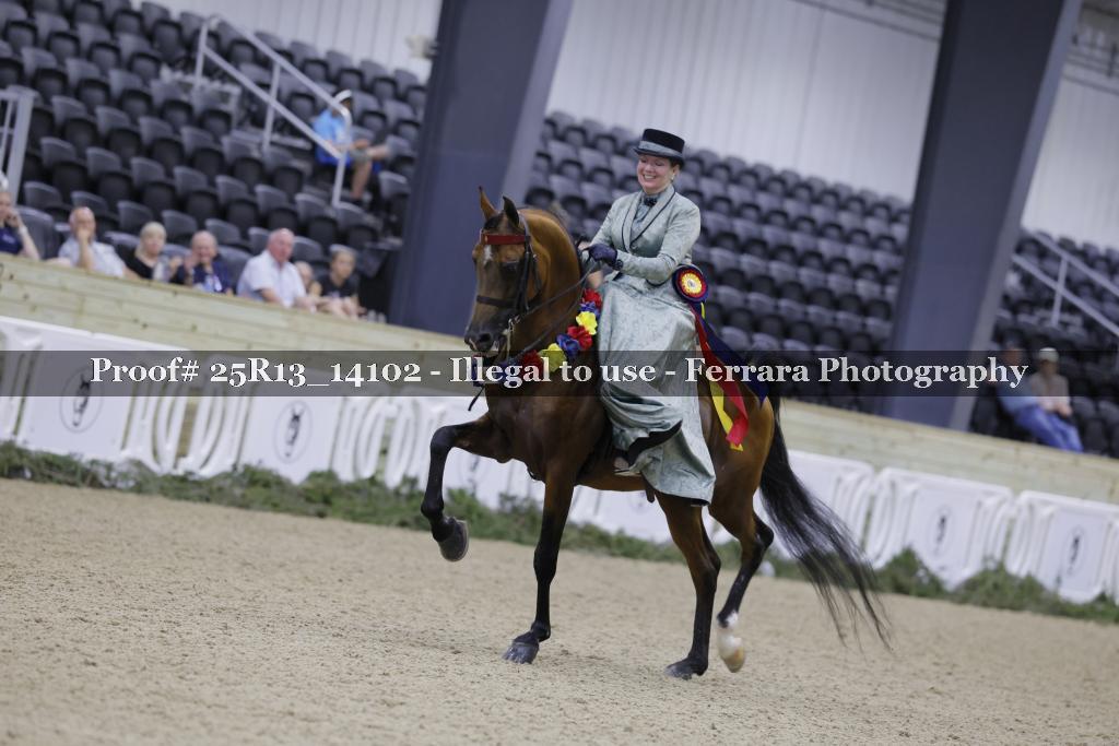 Proof 25R13_14102