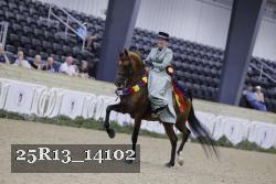 25R13_14102 proof