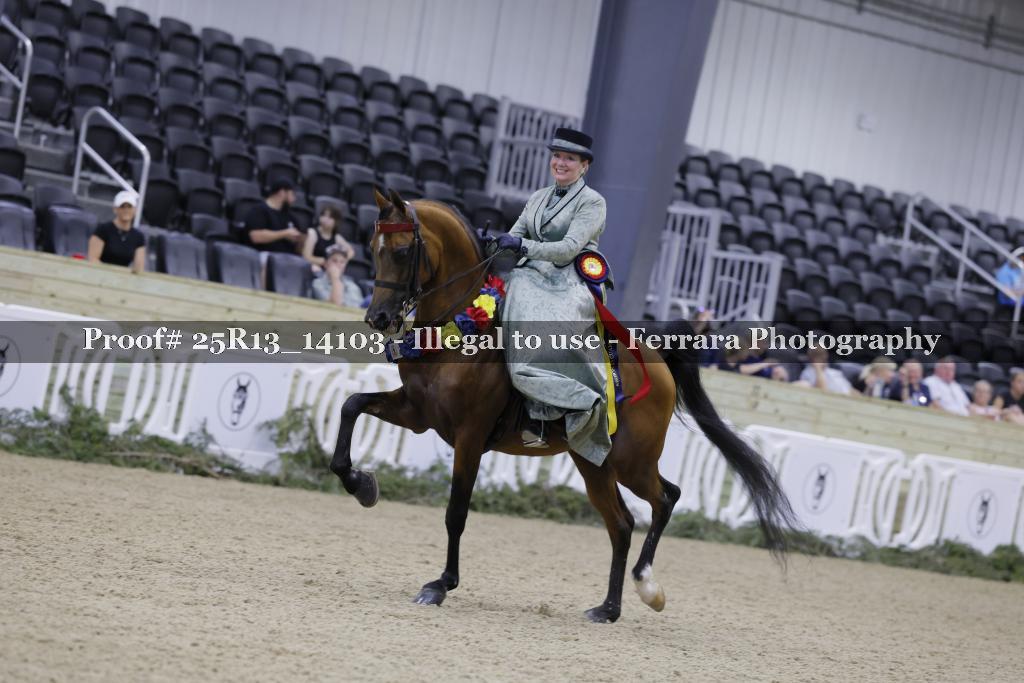 Proof 25R13_14103