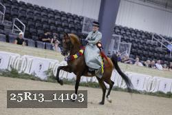 25R13_14103 proof