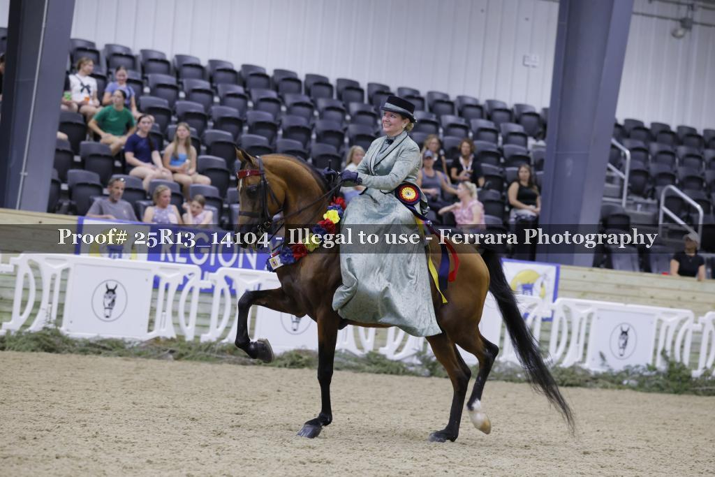 Proof 25R13_14104
