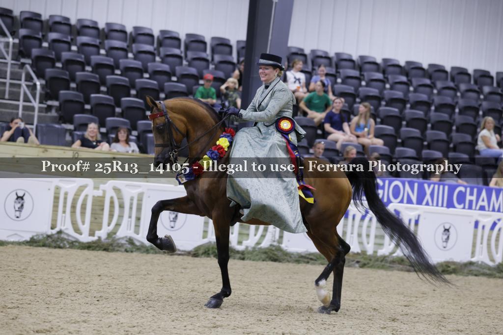 Proof 25R13_14105