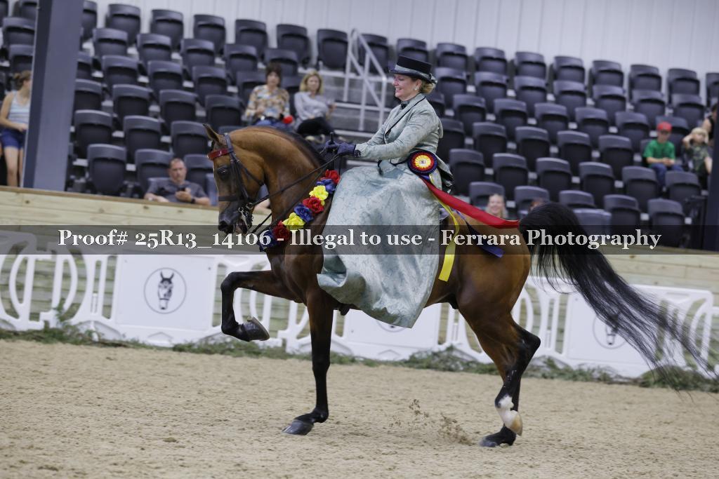 Proof 25R13_14106