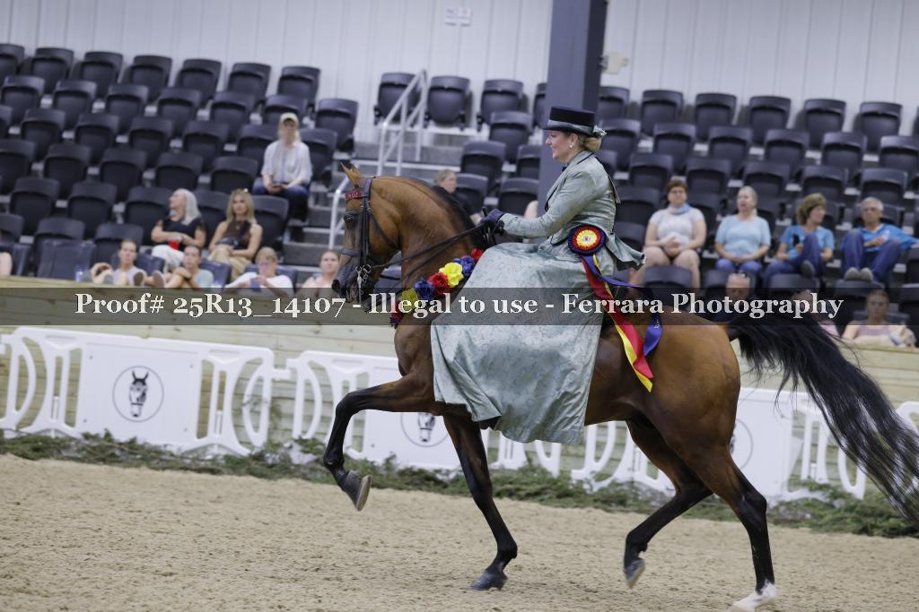 Proof 25R13_14107