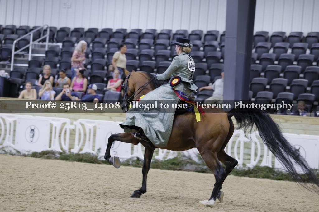 Proof 25R13_14108