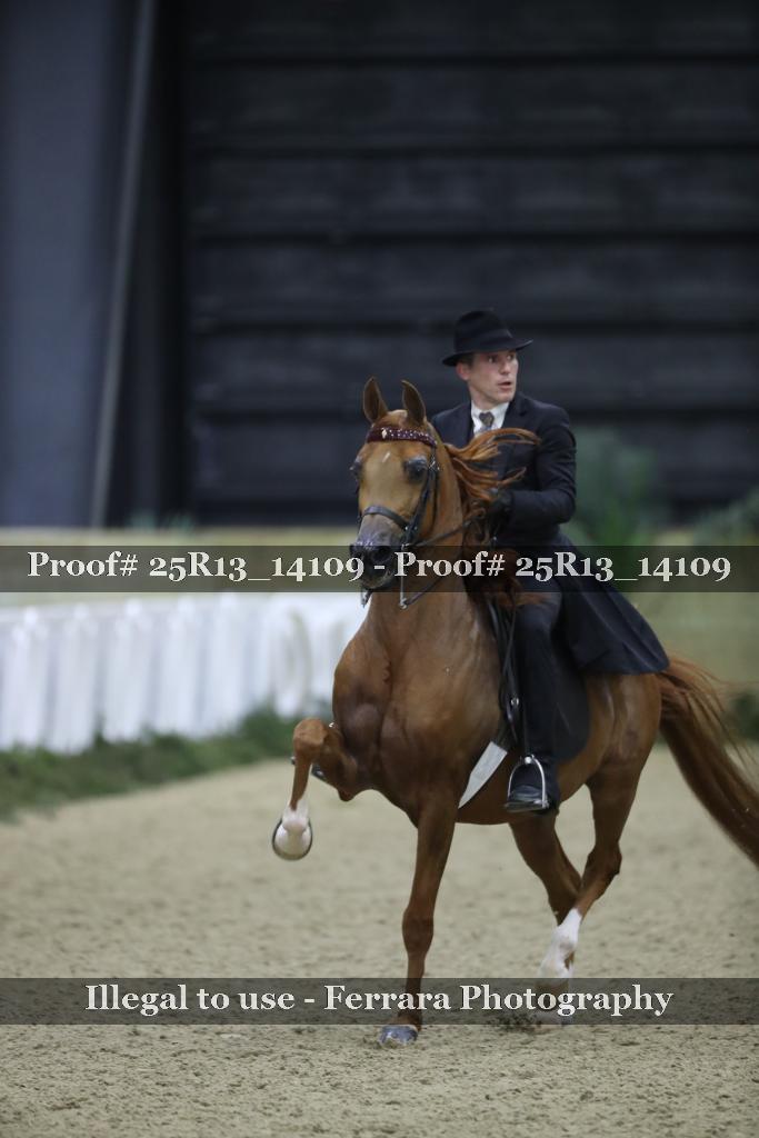 Proof 25R13_14109