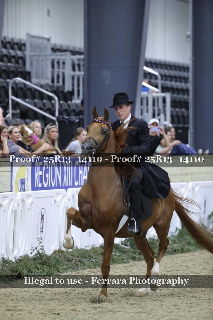 Proof 25R13_14110