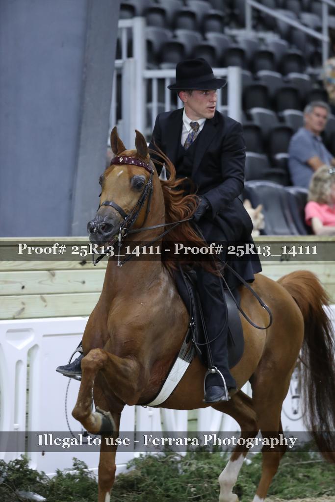 Proof 25R13_14111