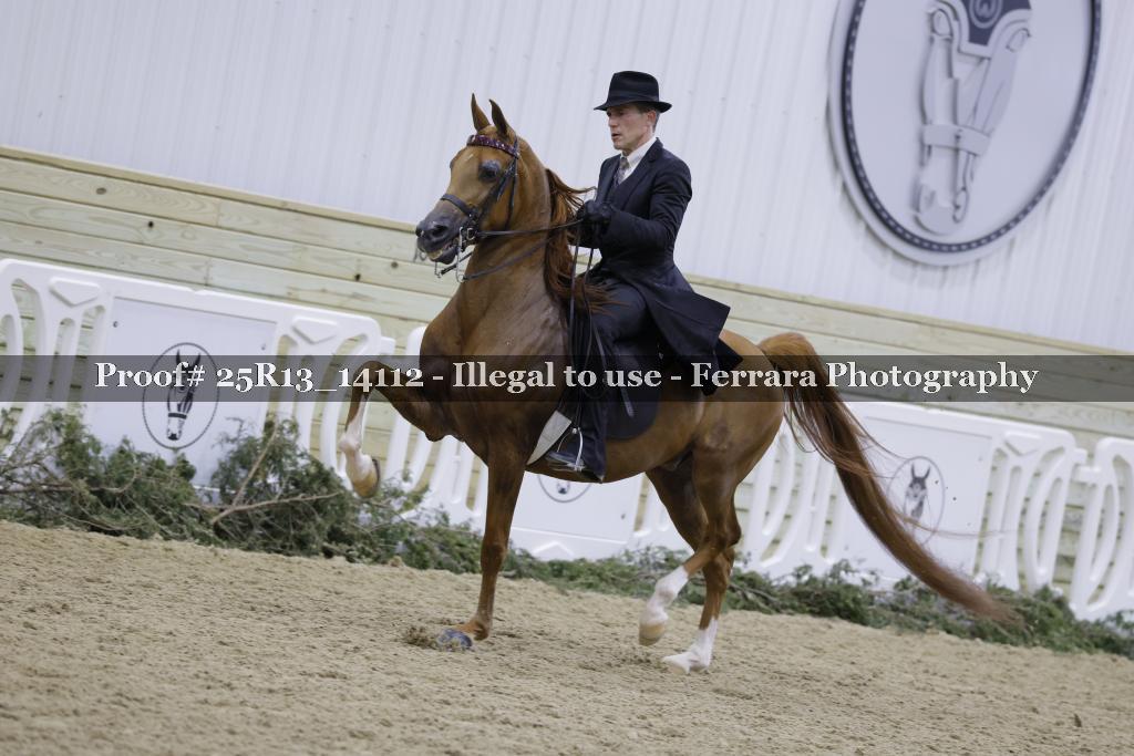 Proof 25R13_14112