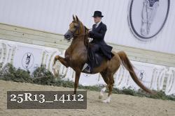 25R13_14112 proof