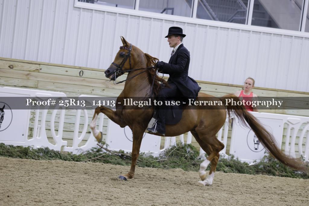 Proof 25R13_14113