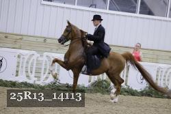 25R13_14113 proof