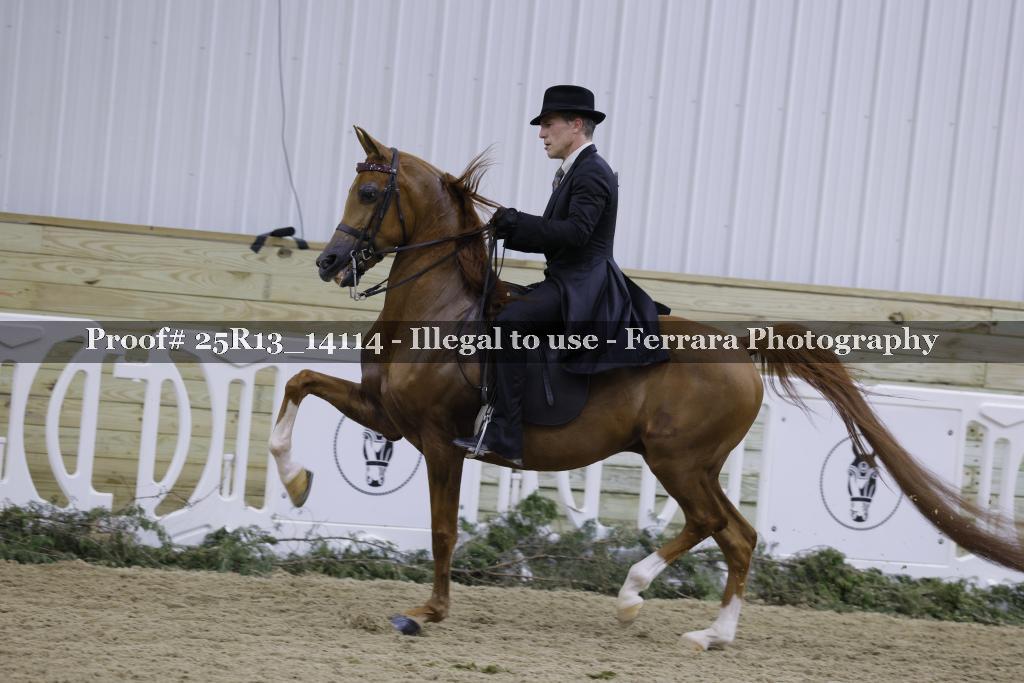 Proof 25R13_14114