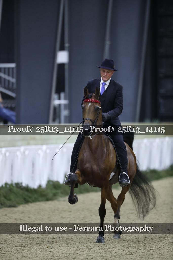 Proof 25R13_14115