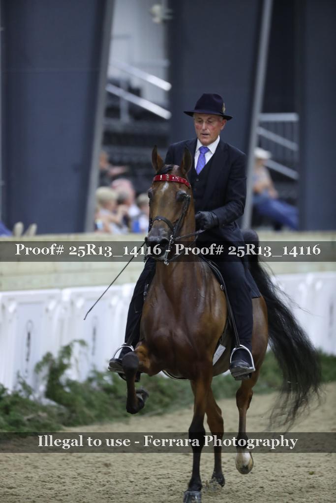 Proof 25R13_14116