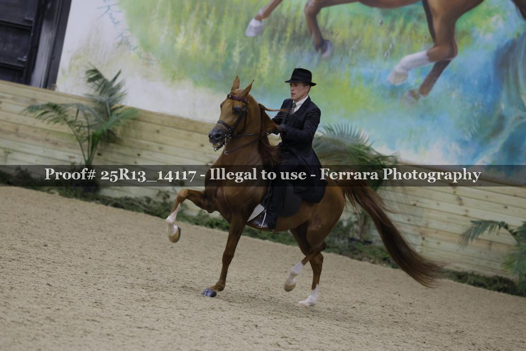 Proof 25R13_14117