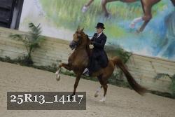 25R13_14117 proof