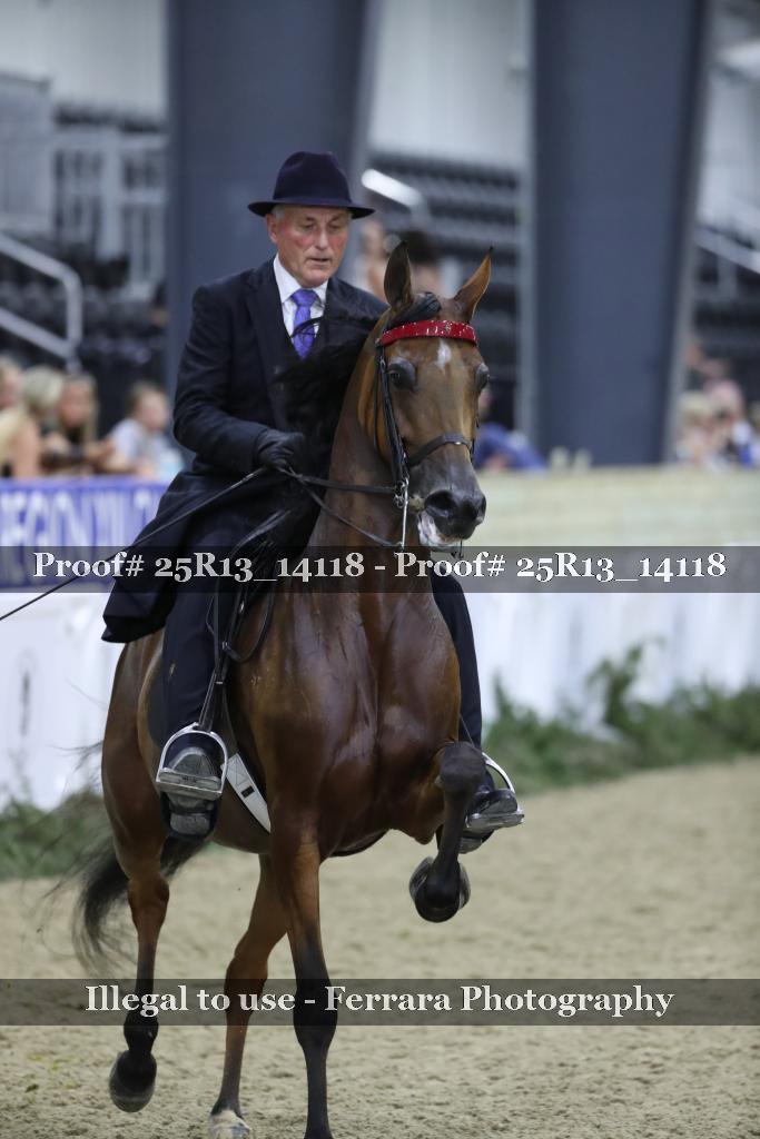 Proof 25R13_14118