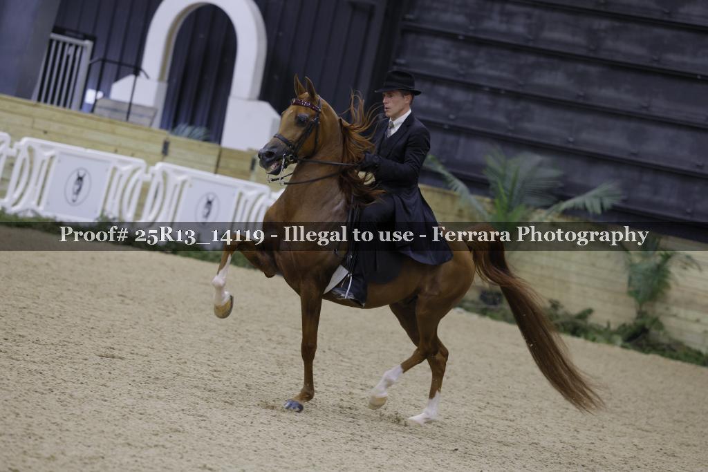 Proof 25R13_14119