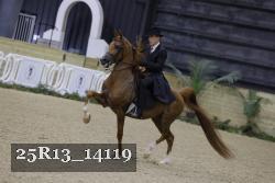 25R13_14119 proof