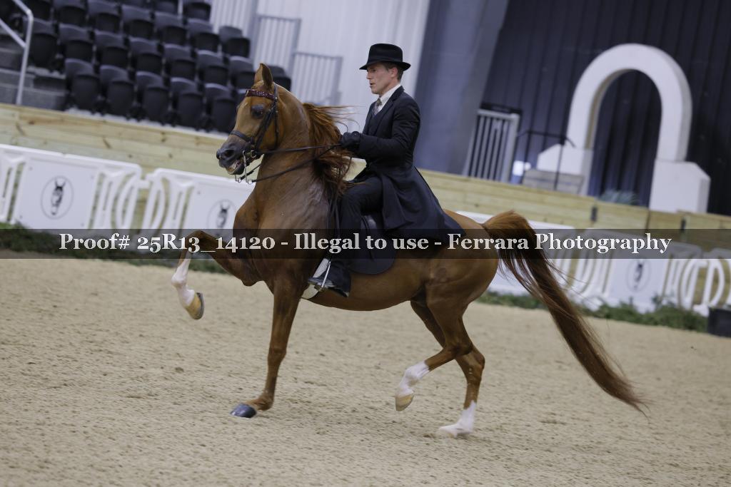 Proof 25R13_14120