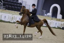 25R13_14120 proof