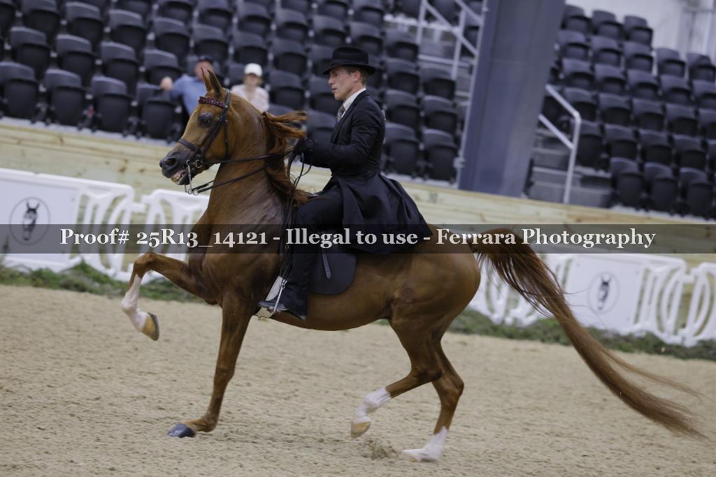 Proof 25R13_14121