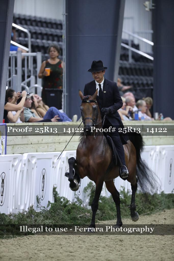 Proof 25R13_14122