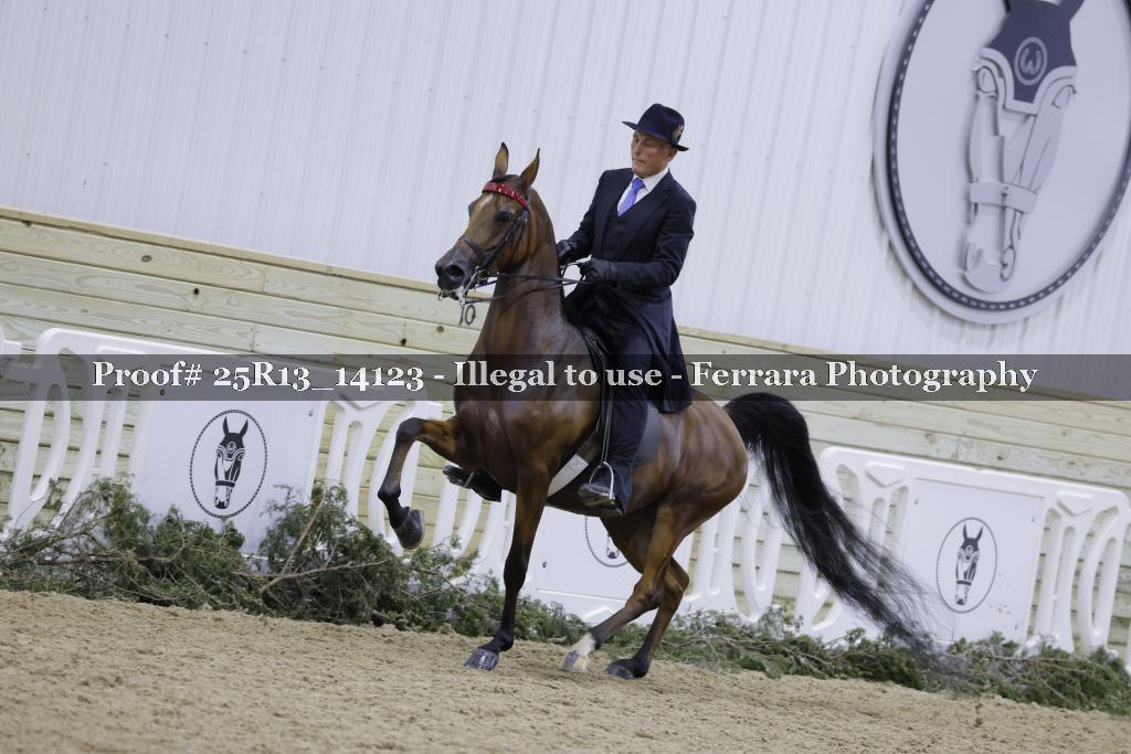 Proof 25R13_14123