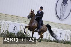 25R13_14123 proof