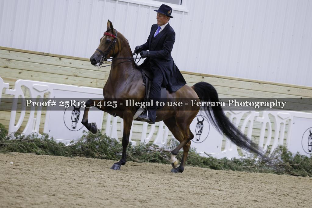 Proof 25R13_14125
