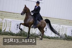 25R13_14125 proof