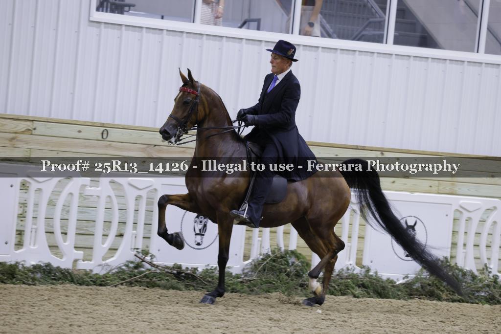 Proof 25R13_14126