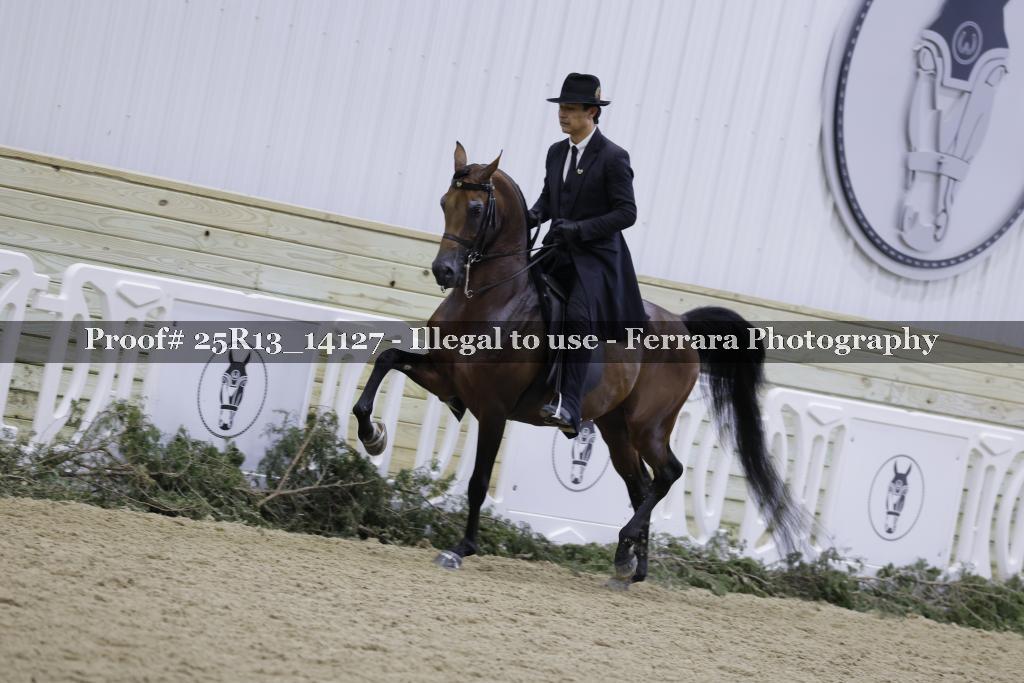 Proof 25R13_14127
