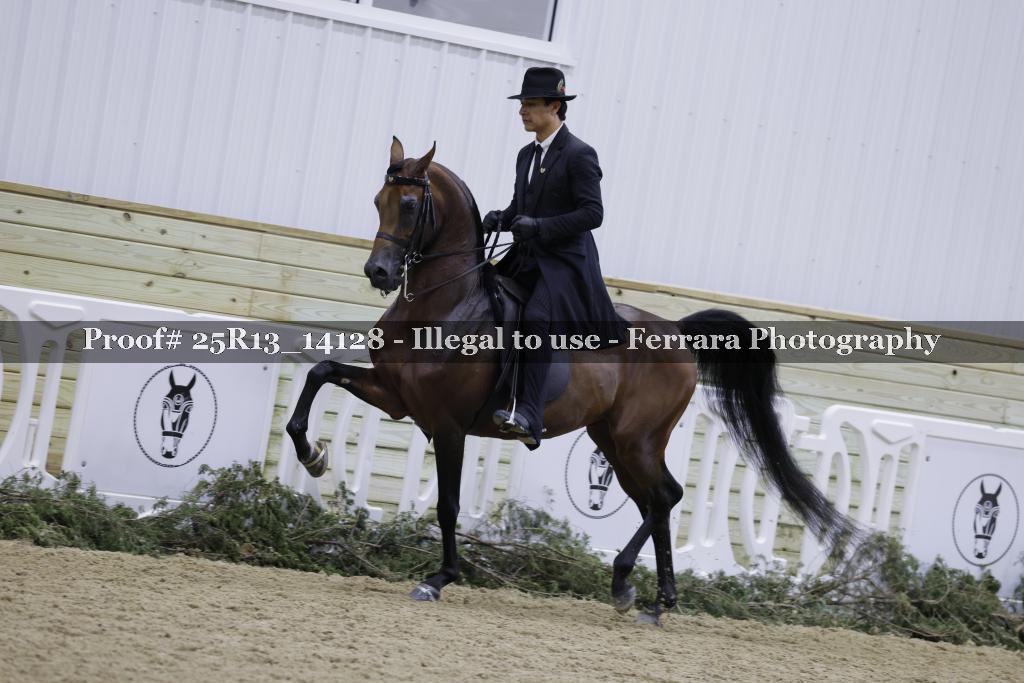 Proof 25R13_14128