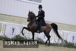 25R13_14128 proof