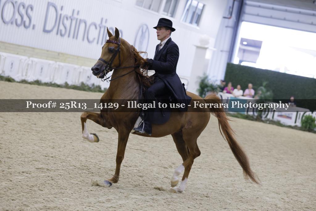 Proof 25R13_14129