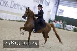 25R13_14129 proof
